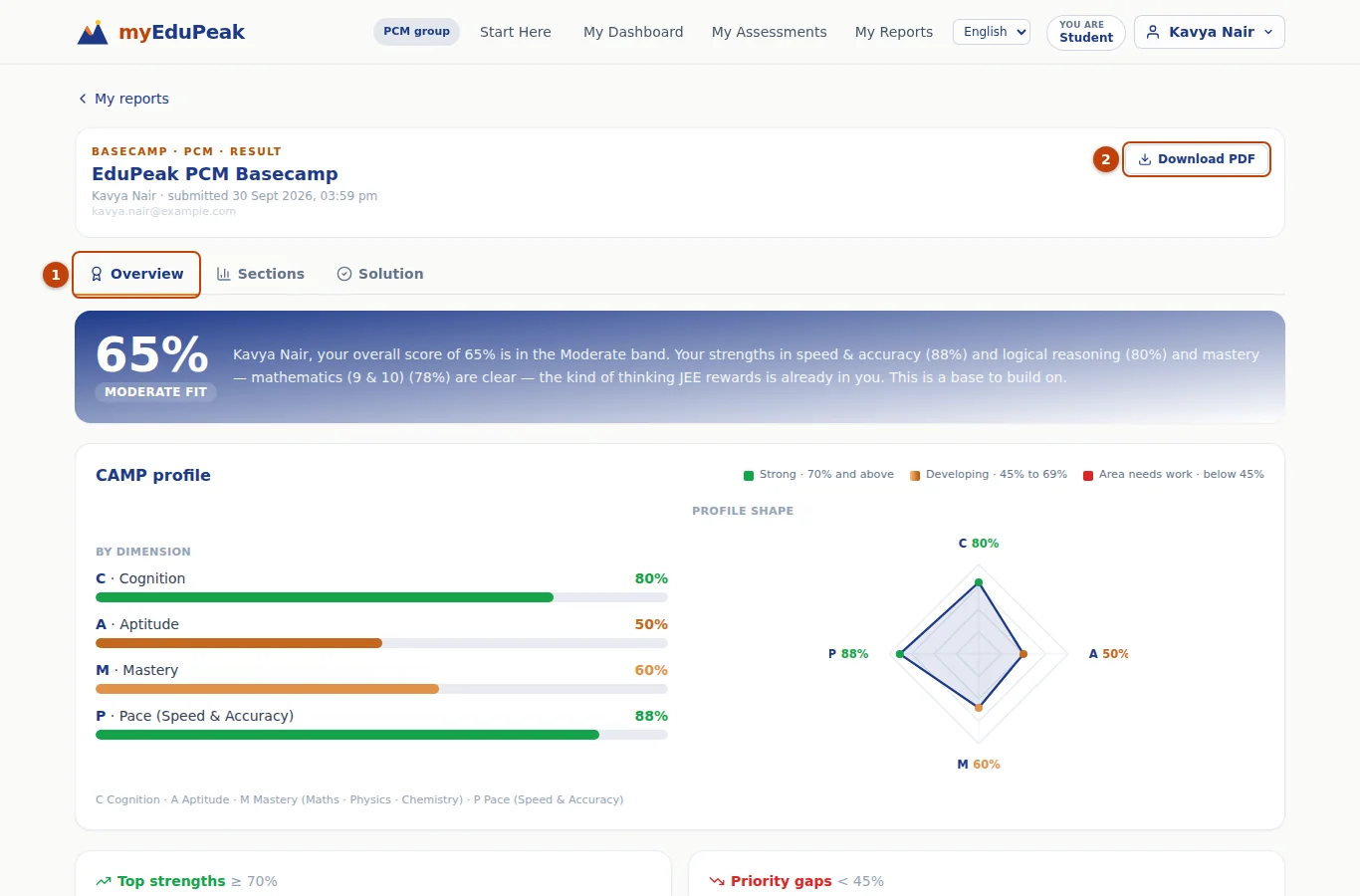 The Basecamp report, Overview tab. Download PDF is at the top right (2).